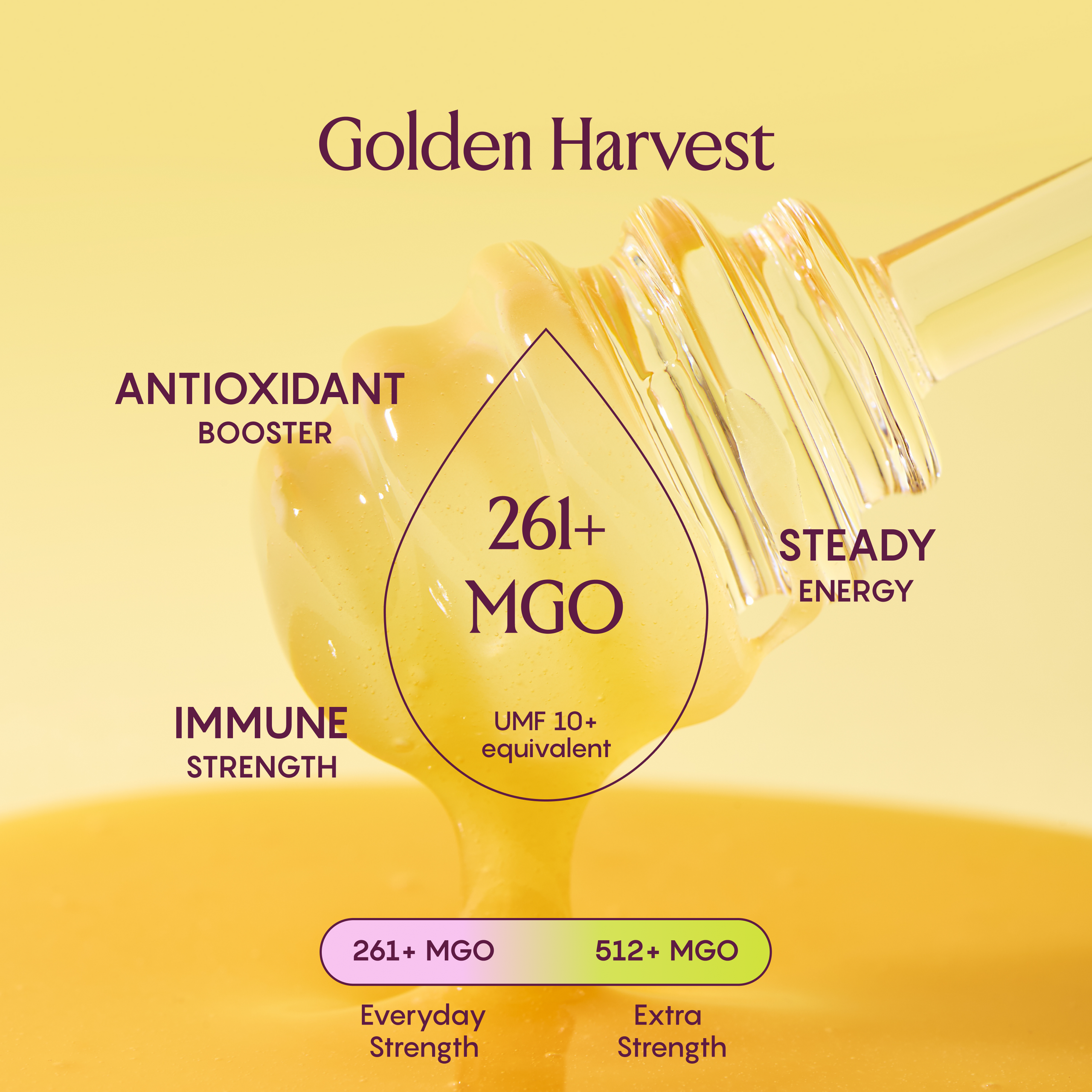 RARE BEEHIVE 261+ MGO Mānuka honey pouring from jar, highlighting energy, immune support, and antioxidants.