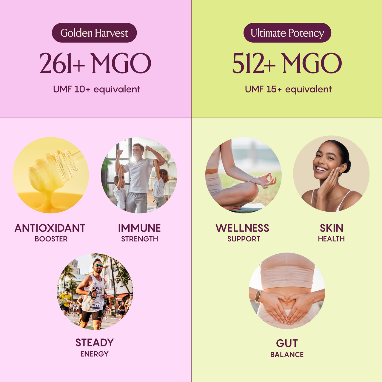 RARE BEEHIVE Mānuka honey 261+ and 512+ MGO comparison showing energy, immunity, wellness, and skin benefits.